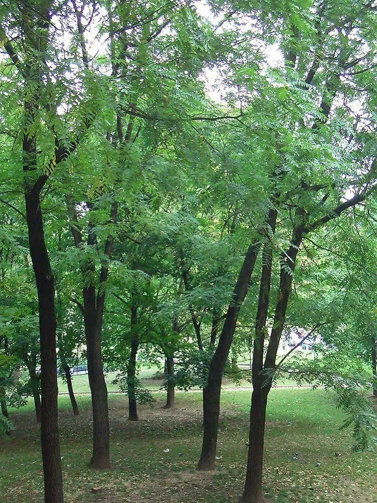 ** Bed & Breakfast B&B Parco Lambro Milán Itálie